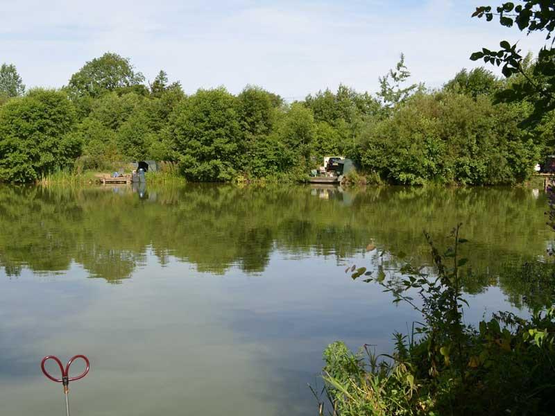 Local Amenities
